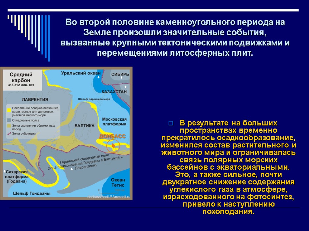 Во второй половине каменноугольного периода на Земле произошли значительные события, вызванные крупными тектоническими подвижками